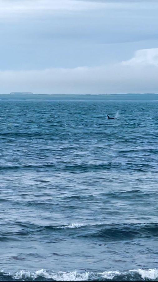 4 Sinclair Bay * Keiss